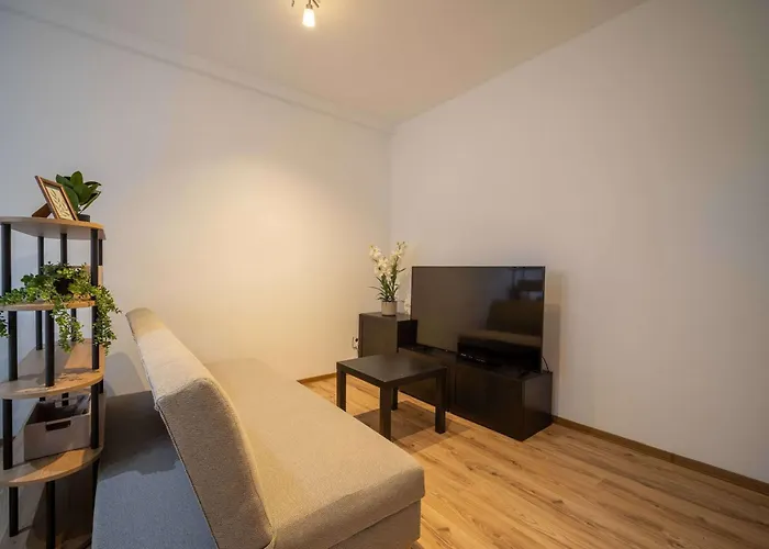 Apartment Comfort Family-sized In Centre